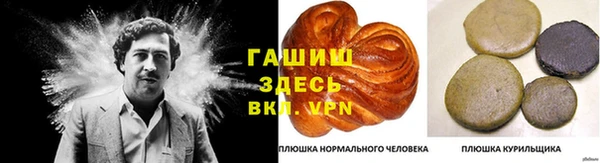 индика Переславль-Залесский