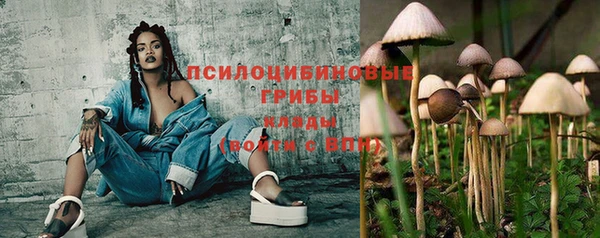 МДПВ Покровск