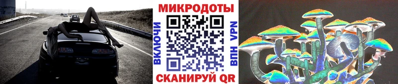 Псилоцибиновые грибы MAGIC MUSHROOMS  купить  цена  Ртищево 