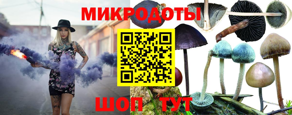 Ртищево  Галлюциногенные грибы Magic Shrooms  Вход с VPN  купить наркотик  Псилоцибиновые грибы Cubensis 