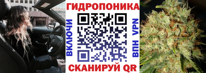 МАРИХУАНА сатива Ртищево